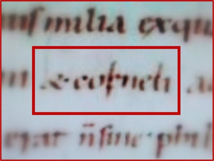 Фигура 2 - Corneli